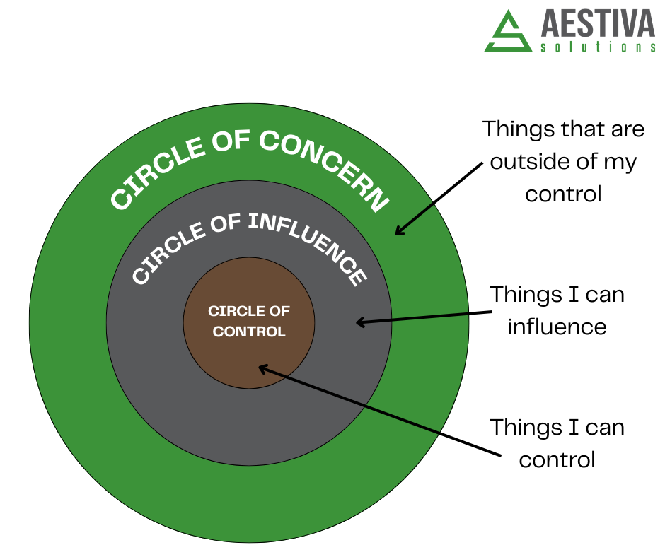 Diagram of the circles of concern, influence, and control